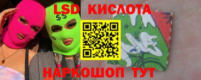 амф Владимир