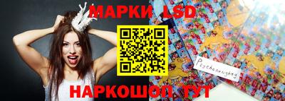 амф Владимир
