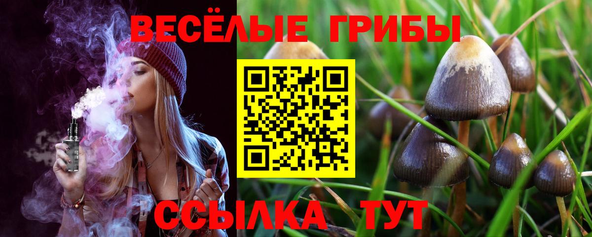 Гурьевск  Псилоцибиновые грибы Magic Shrooms  Псилоцибиновые грибы MAGIC MUSHROOMS  Вход с VPN 